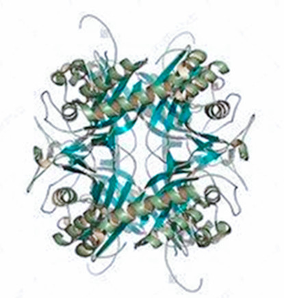 吃什么药可以降尿酸,吃什么药可以降尿酸还不伤肝