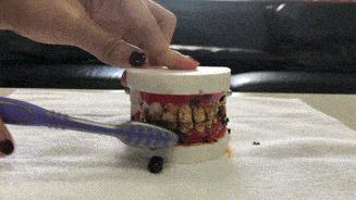 旋转式电动牙刷和声波式电动牙刷,智能成人电动牙刷声波洁牙神器