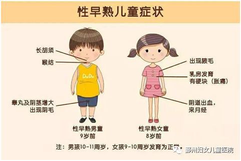 乳房早发育是什么原因,乳房发育早月经也早吗