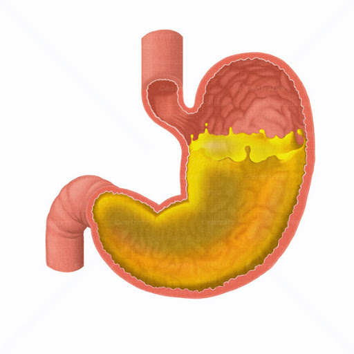 水蛭吃进肚子里能活吗,水蛭在牛肚子里能存活吗