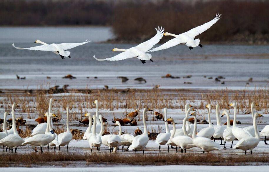 辽宁必去十大景点排名图片及价格,辽宁省旅游必去十大景点介绍图片