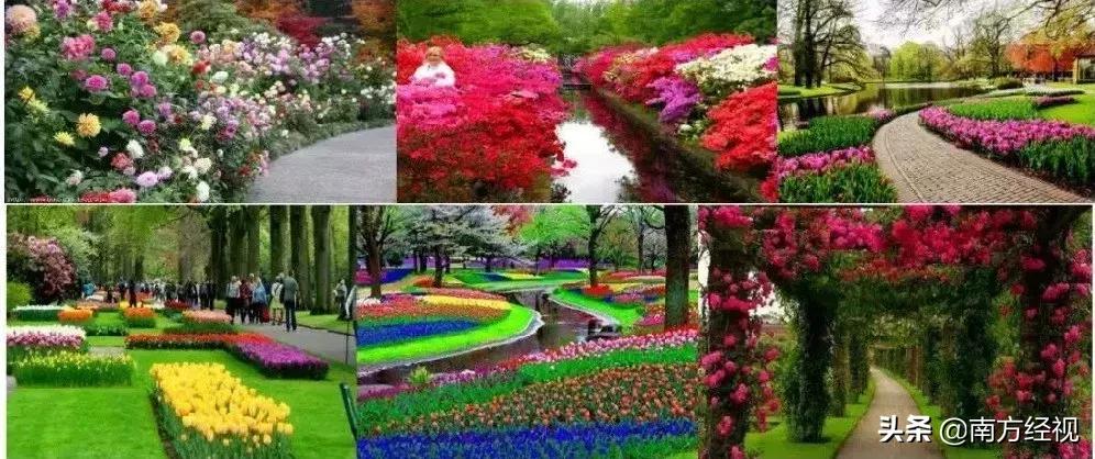 广州番禺丽江花园整体规划图,广州美林湖畔花园规划图