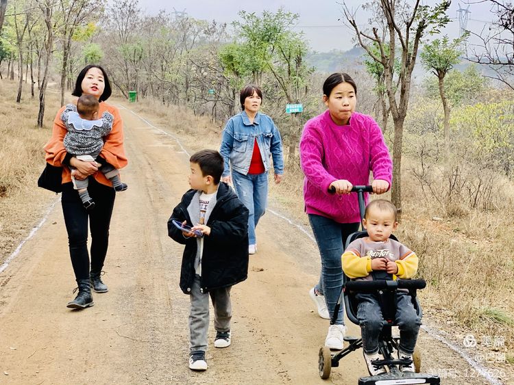 洛阳市宜阳凤凰岭射箭,宜阳县凤凰岭体育基地