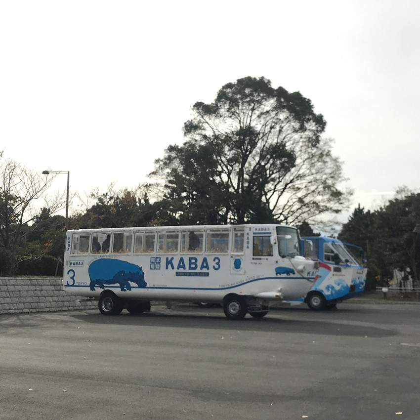 闭着眼也能玩的游戏,大阪自由行最详细攻略