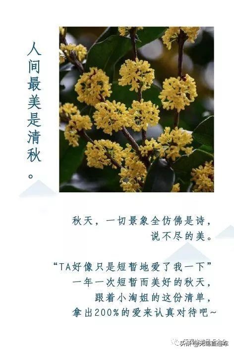 无锡唯有美食与你不可辜负,无锡夏日特色美食有哪些