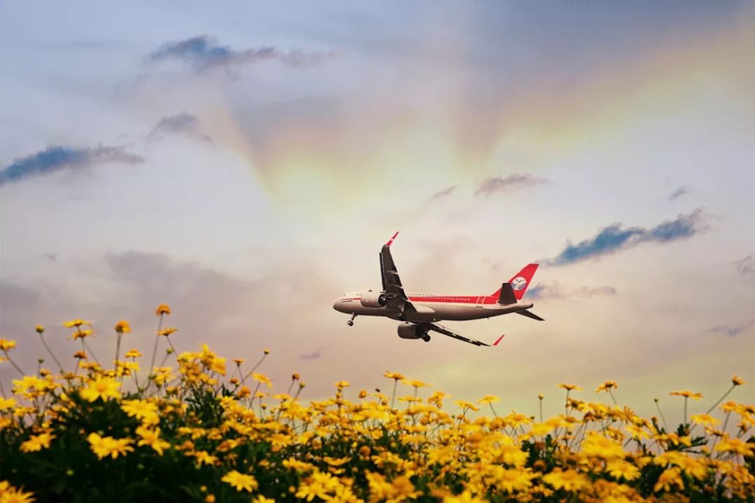 踏青打卡好去处双流空港公园,环城生态公园东片区