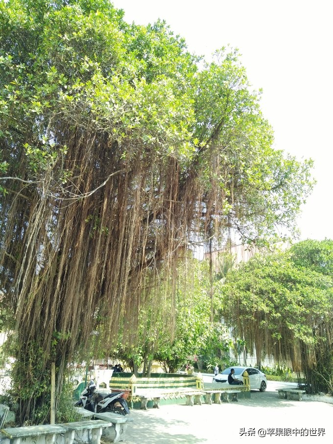 老挝首都万象有哪些值得去的地方,在老挝日常