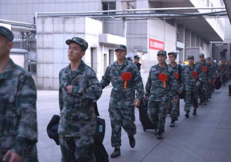 专科容易学的专业就业前景,专科就业前景好还容易学的专业