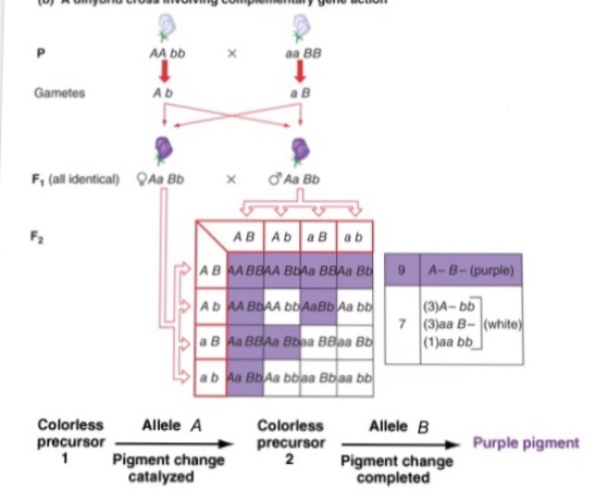 不拉踩、打榜、反黑也可以上位么？