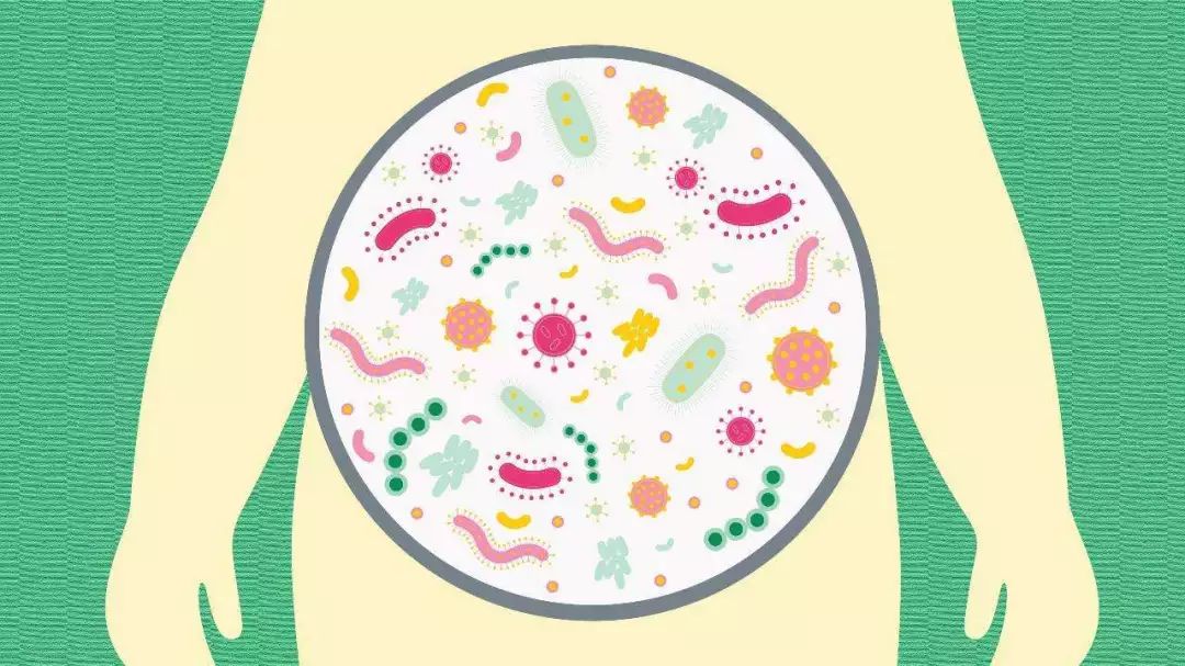 益生菌在自闭症治疗中的应用（二）