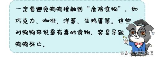 狗狗乱吃东西卡嗓子怎么办,狗狗吃了玻璃珠怎么办