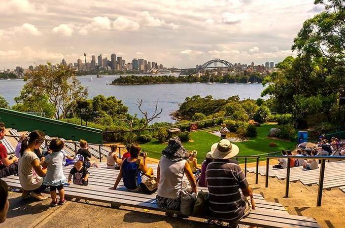 悉尼塔龙加动物园游玩攻略,悉尼塔龙嘉动物园游记