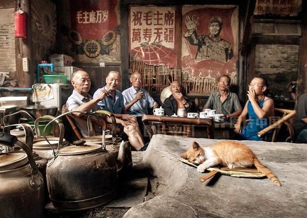 成都川妹美食攻略,成都美食攻略日料