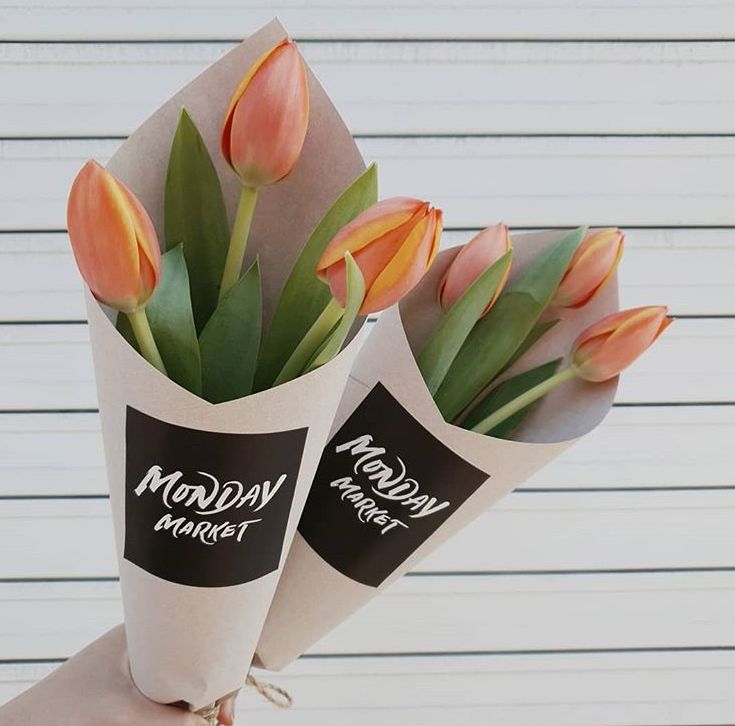 閮侀噾棣欑鐞冪殑鍏绘姢鏂规硶,姘村煿閮侀噾棣欏彂鑺藉悗鍏绘姢