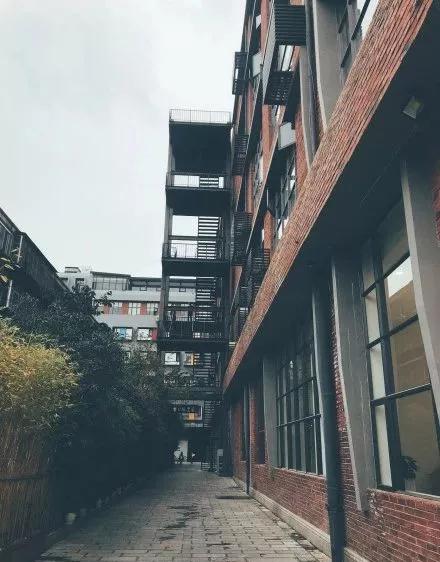 蓝花楹昆明网红打卡地在哪里,昆明周边湿地公园网红打卡地