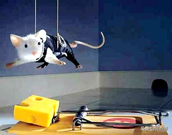 笑到岔气的小笑话怎么说,差点给我笑岔气的笑话