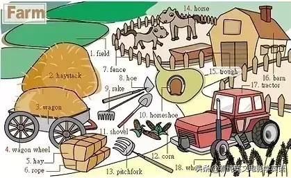 36张图让孩子记住所有英语,超实用的英语词汇图英语学习必备