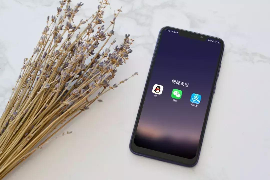 手机支付安全锦囊,手机支付安全怎么守护