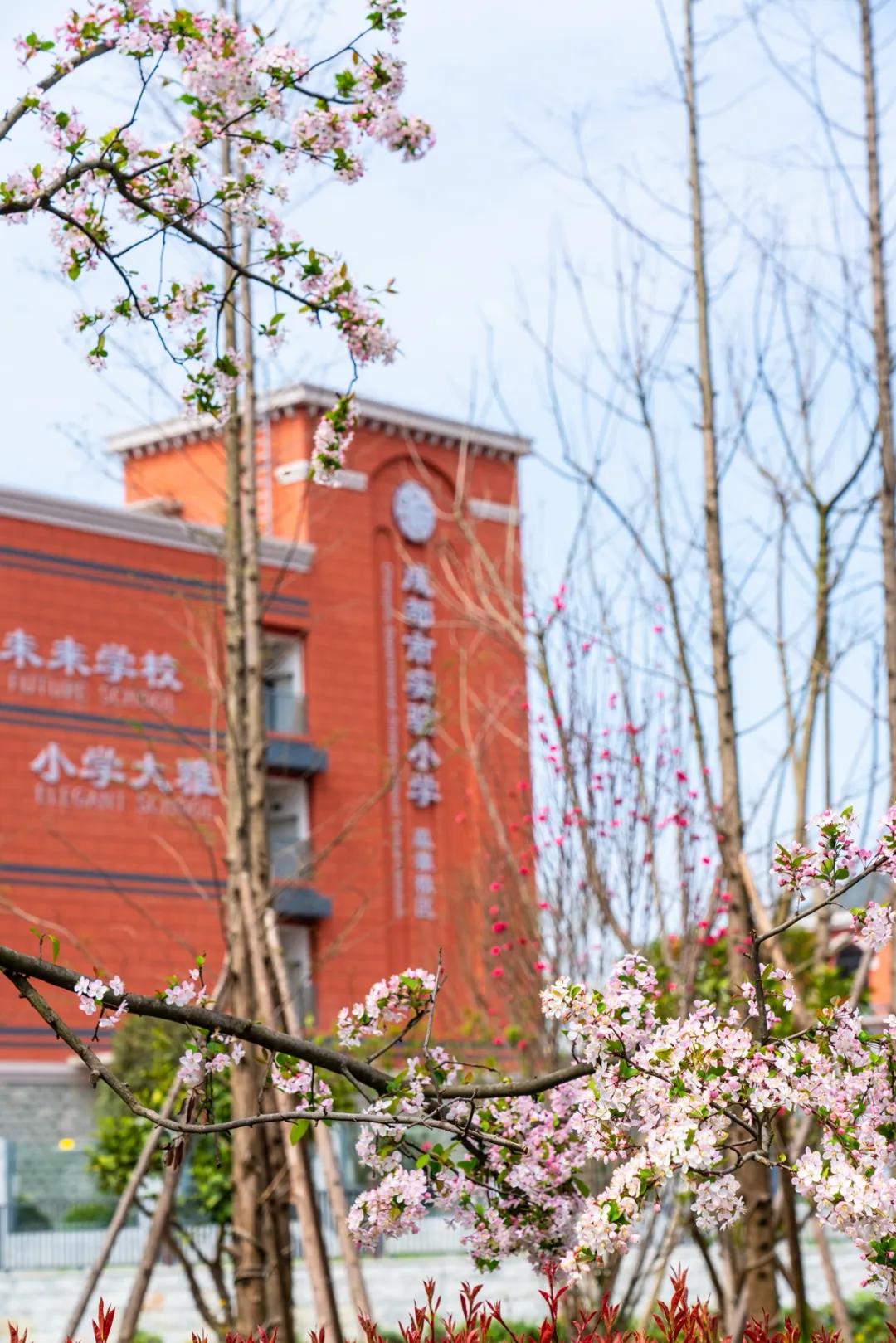 成都实验小学一校三区,成都实验小学西校区