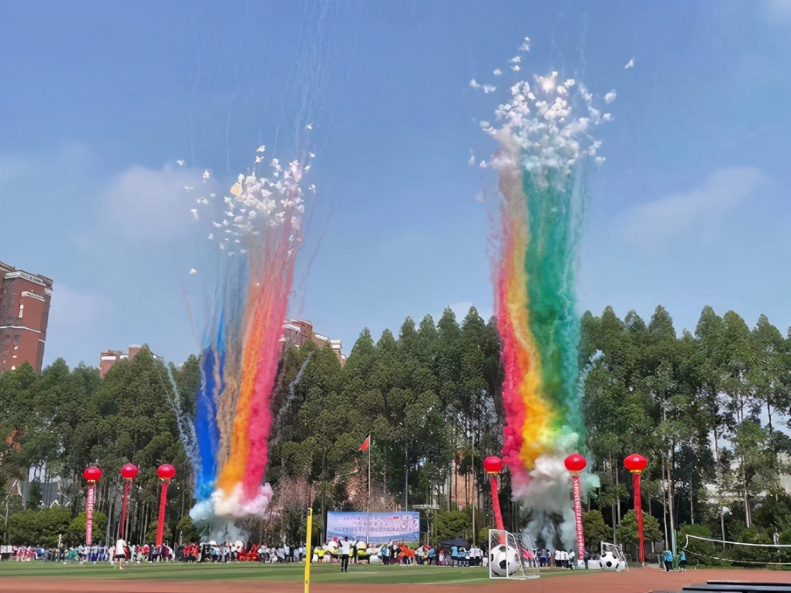 2024年成都市青少年校园足球联赛,成都市郫都区校园足球联赛高中组