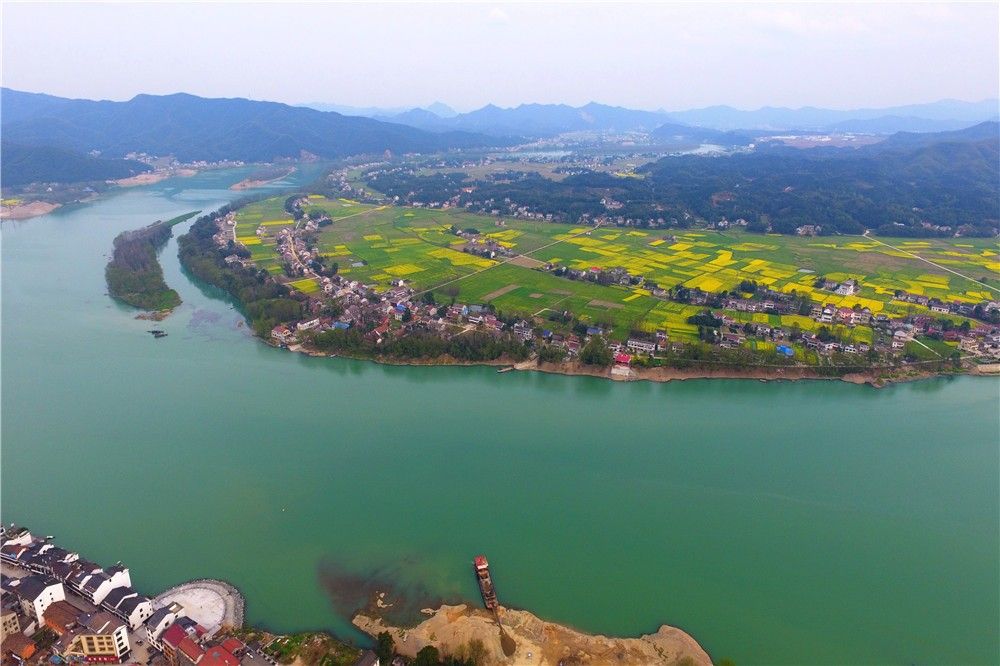 从书生到赌徒，负债两百亿去向成谜：国产手机教父刘立荣的江湖路