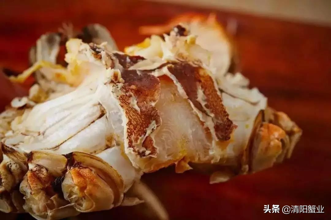 怎么分辨熟母蟹和公蟹的区别,如何区分公蟹还是母蟹