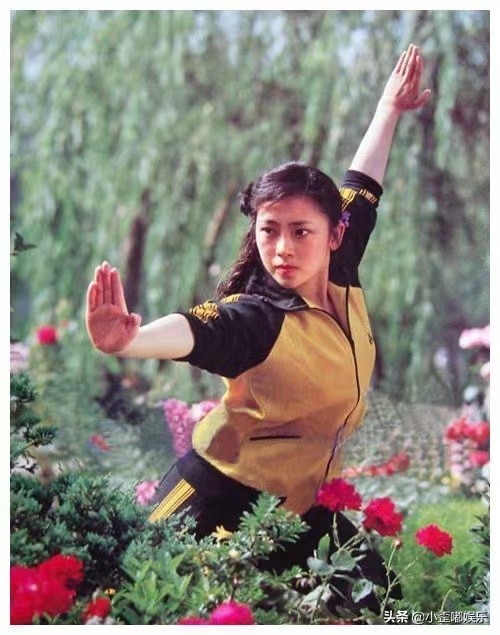 李连杰婚外情,李连杰两段婚姻