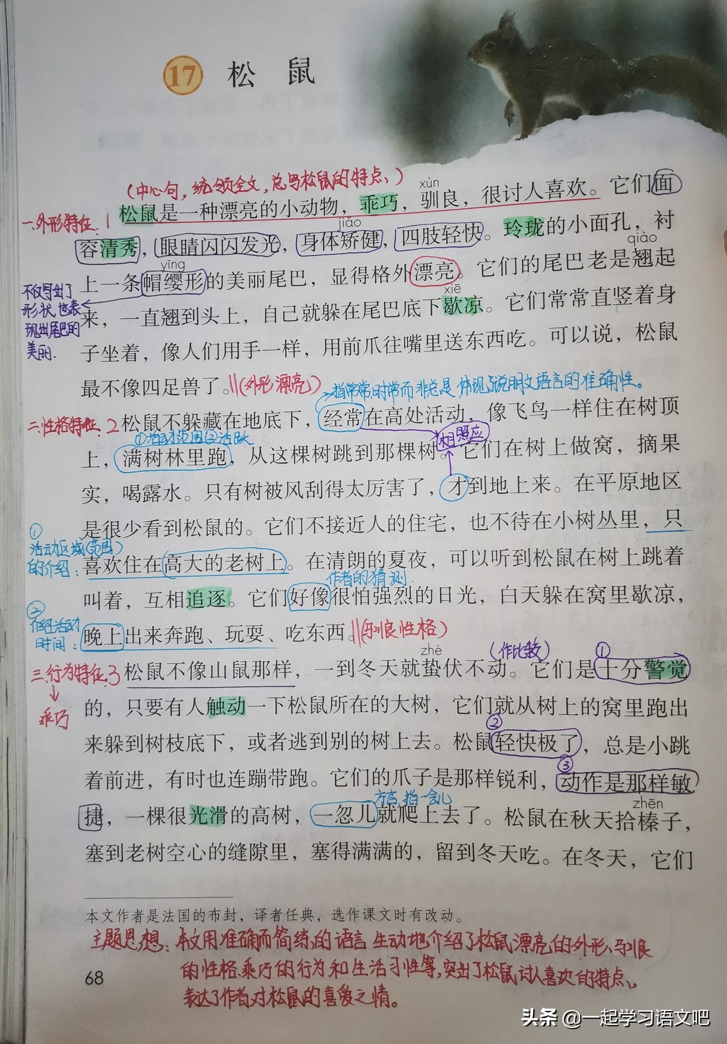 松鼠统编版五年级上册第五单元,五年级课文太阳松鼠阅读练习