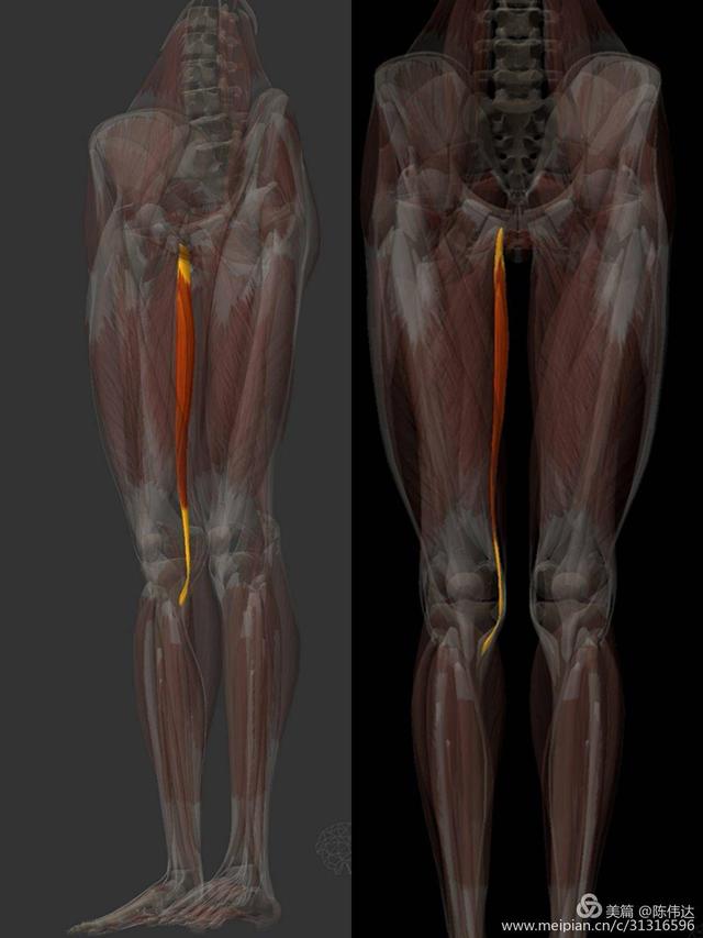 膀胱直肠瘘是什么病,直肠尿道瘘是直肠癌的症状吗