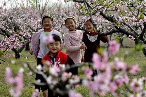 电话手表最便宜的通信套餐,电话手表最划算的资费