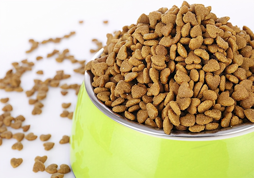 养宠知识狗狗2天不大便怎么办,训练狗狗不护食的方法2岁