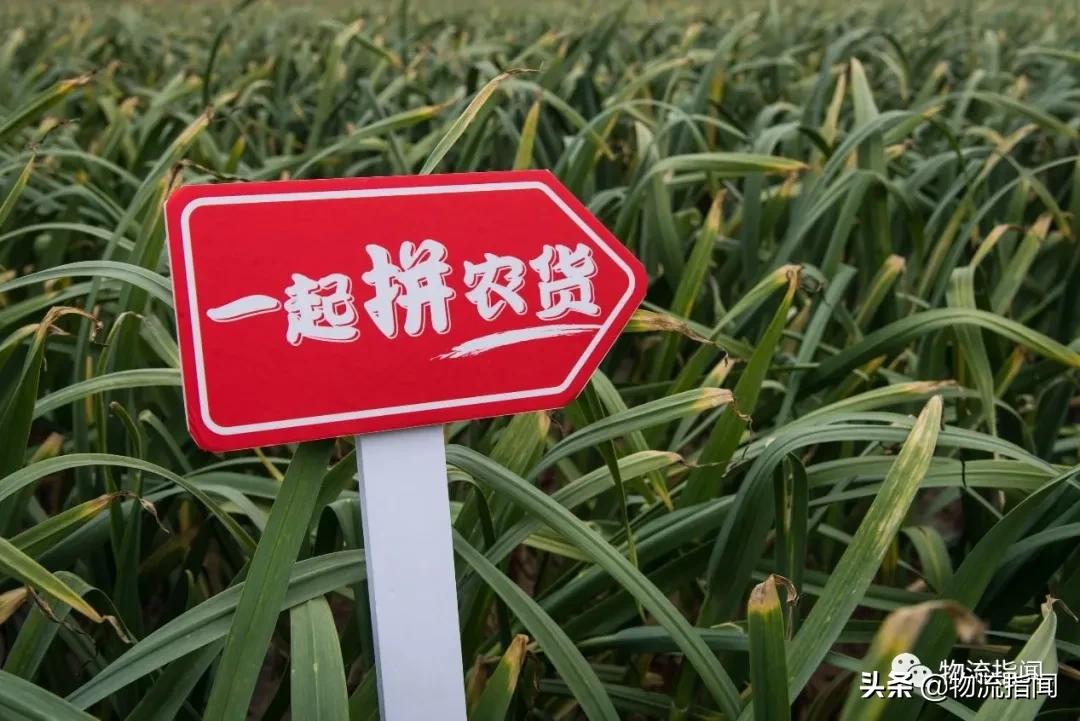 黄峥商业模式画布谈拼多多创新,拼多多黄峥消费升级