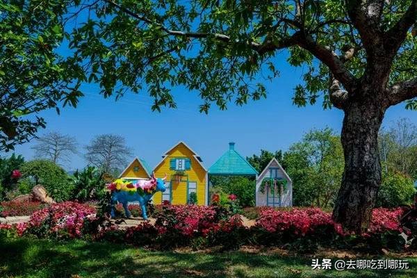 38抢从化宝趣玫瑰世界1大1小票赏春赏花赏美景不负*光春**不负卿