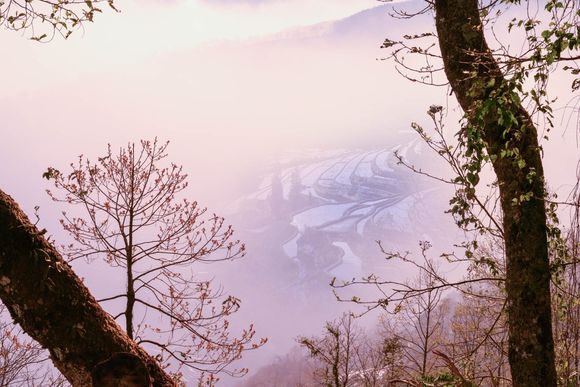 穿越小说推荐：傲慢与偏见同人文，作者风流书呆，甜文