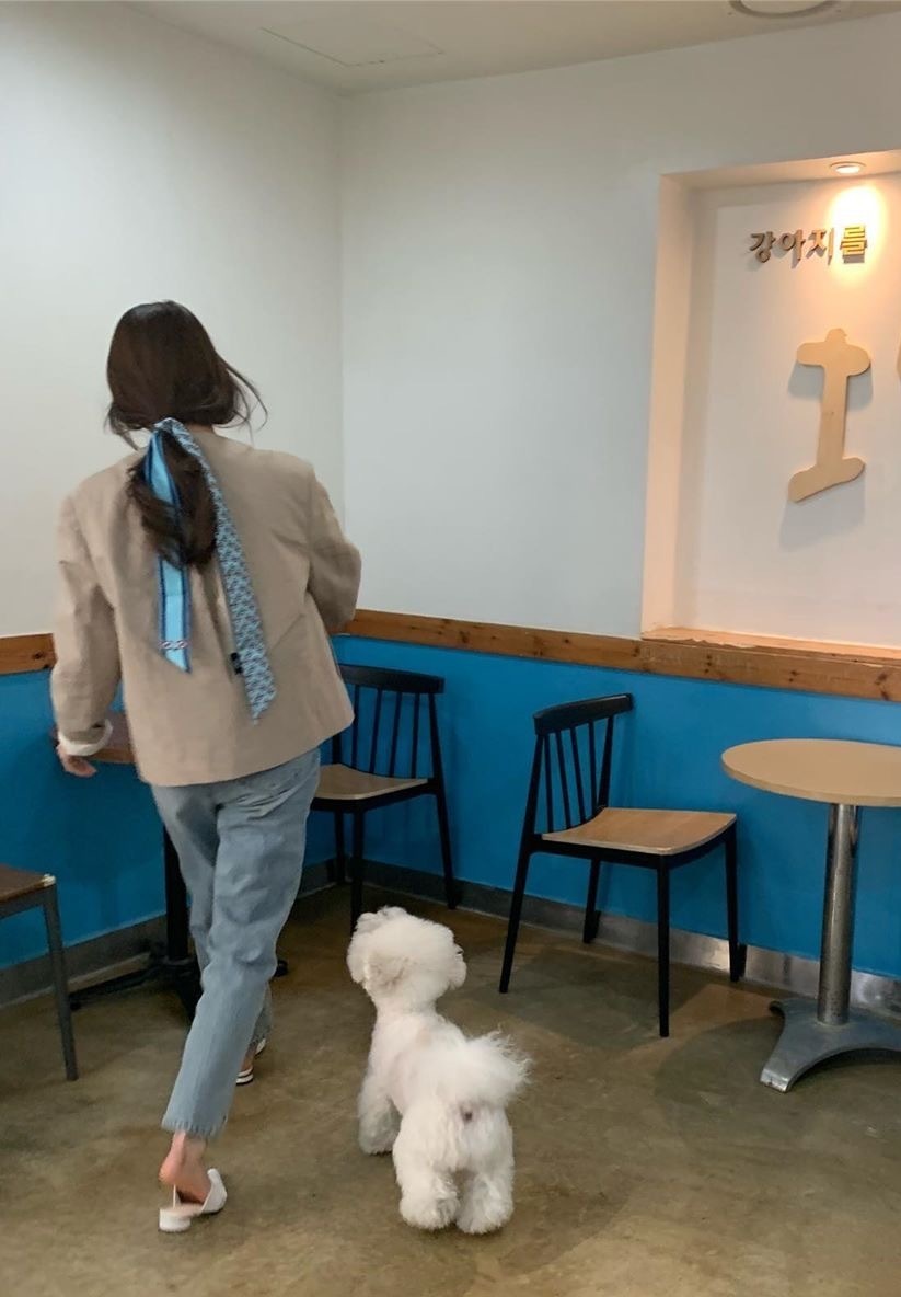 一条丝巾有多种搭配方法,丝巾的十种搭法