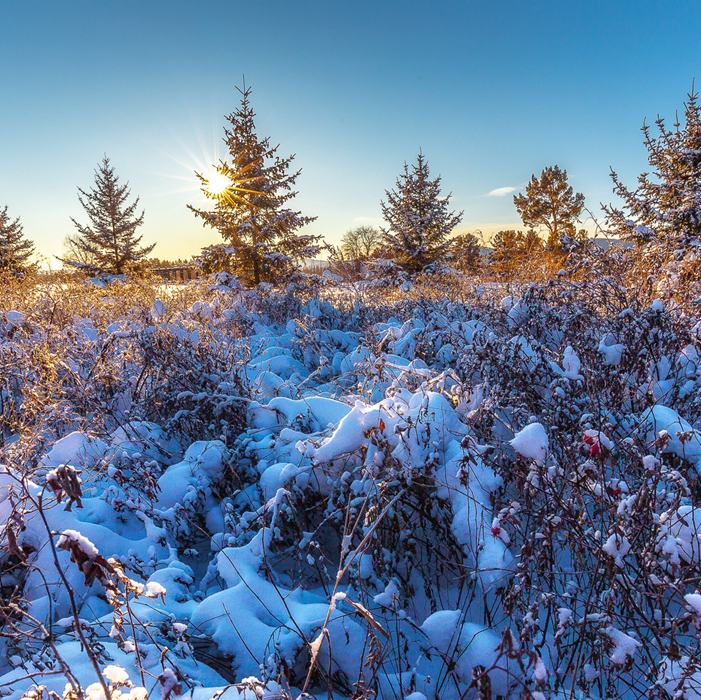 东北漠河游玩攻略冬天五天四晚,漠河冰雪旅游
