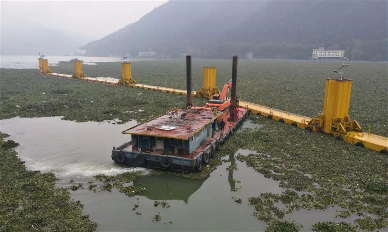 水葫芦的弱点太好笑,水葫芦入侵视频