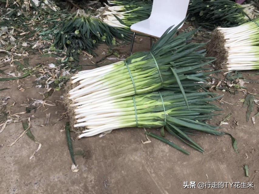 昆明王旗营蔬菜批发市场价格,王旗营蔬菜农贸市场