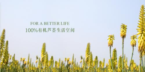 瑷露德玛芦荟化妆品加盟哪家好,瑷露德玛芦荟生活馆加盟费用