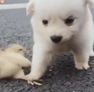 第一次人机大战电影,第一次人机战争