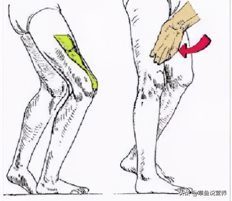 脑卒中的肢体康复训练,脑卒中步行训练的步骤及要点