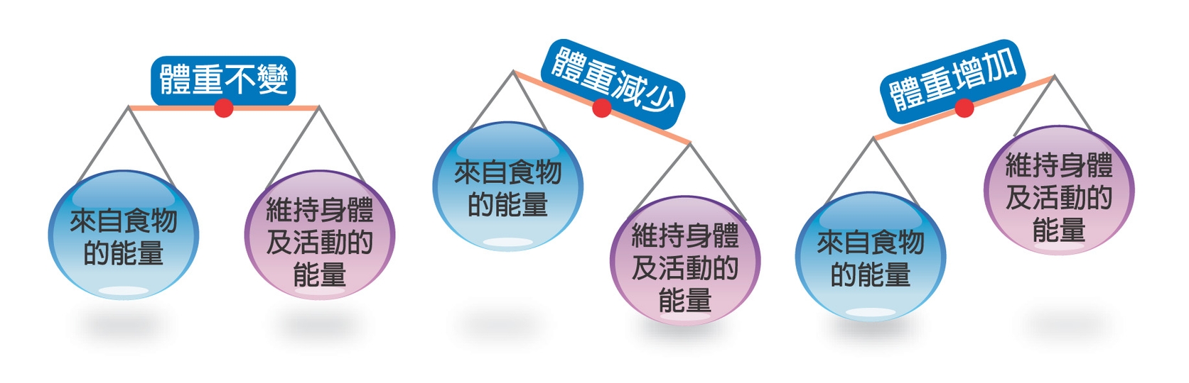 瘦子怎么吃才能长胖？瘦人增肥饮食3要素，全做到了你就能长胖