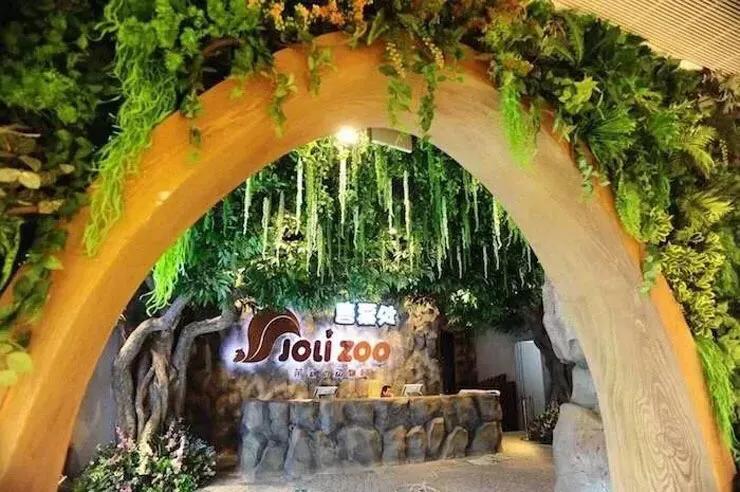 深圳最大的室内游乐场,深圳适合小孩玩的游乐场