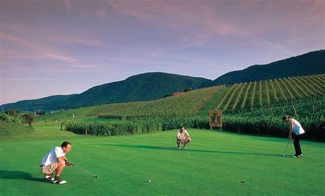 奥运会球速最快的球,运动场上什么球的速度最快