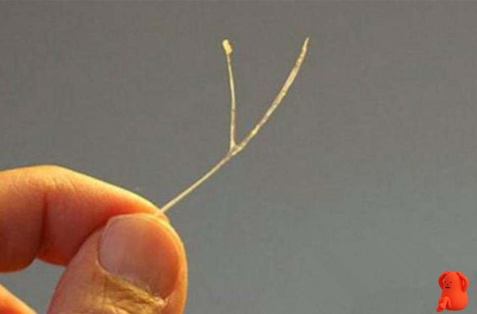 孩子被鱼刺卡喉了妈妈一定要知道,孩子被鱼刺卡喉了喝什么