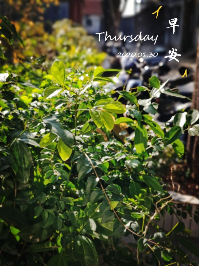 一部手机拍大片视频,一部手机就可以拍出大片