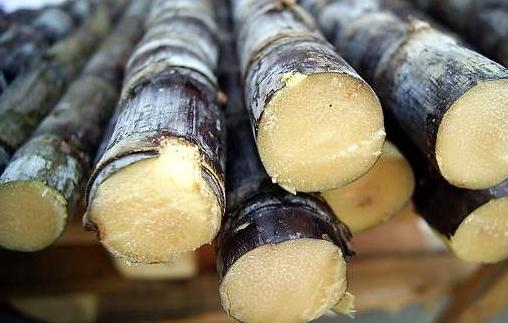 蔗糖甘蔗和普通甘蔗的区别,甘蔗蔗糖糖尿病人能吃吗