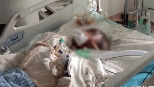 不倒翁小姐姐抖音网红,网红不倒翁小姐姐对比