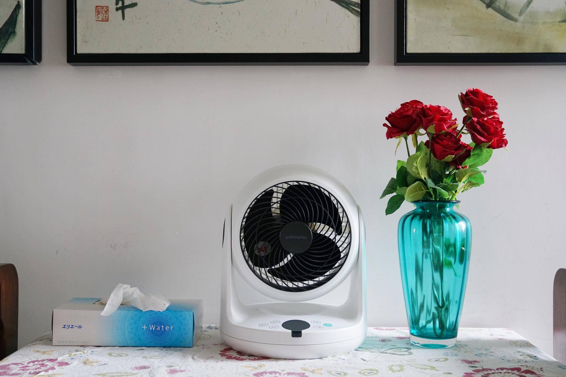 风扇十大公认品牌大全,家用风扇红黑榜