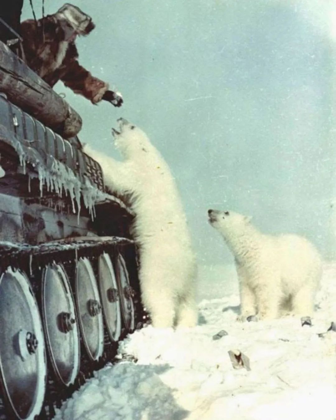 坦克世界搞笑必备素材,坦克世界搞笑视频手机版